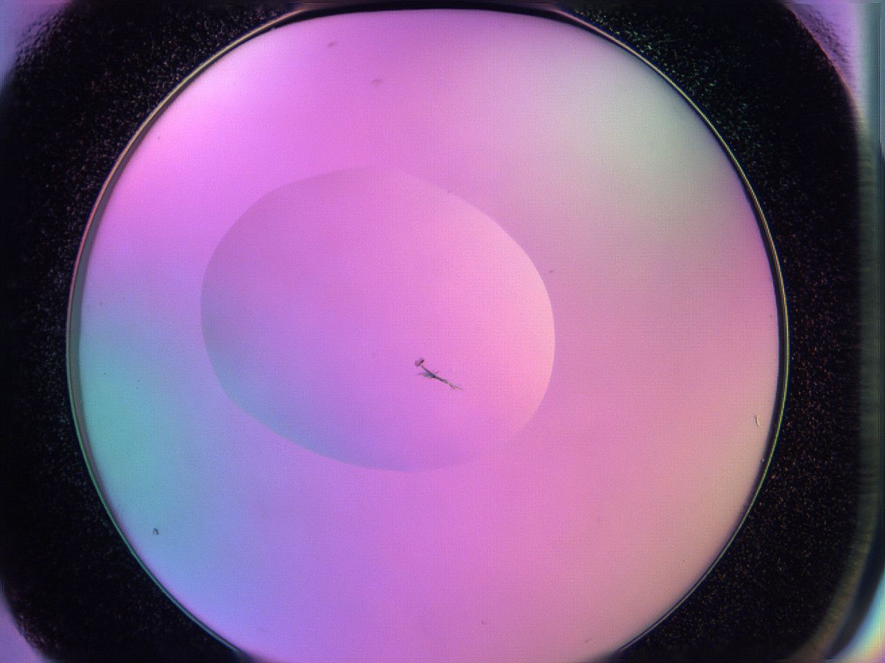 05e5_G4_ImagerDefaults_7.jpg