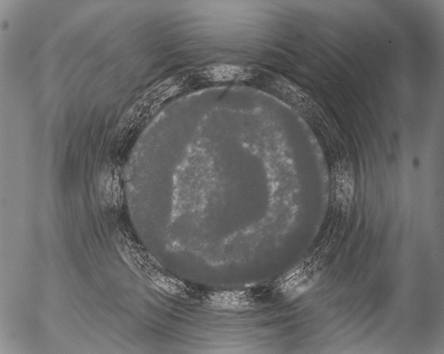 X0000054580422200508300105.png