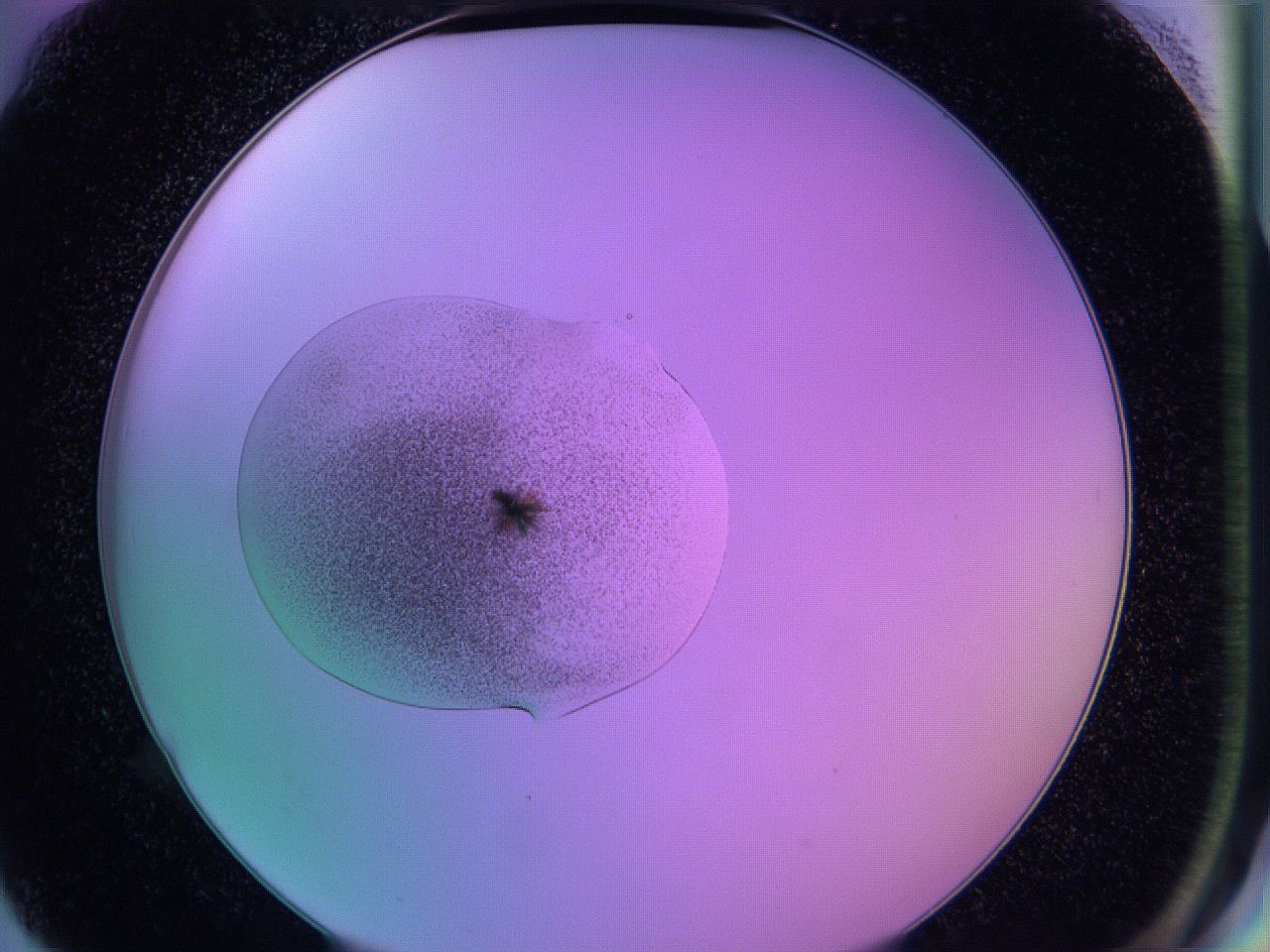 05e6_G6_ImagerDefaults_6.jpg
