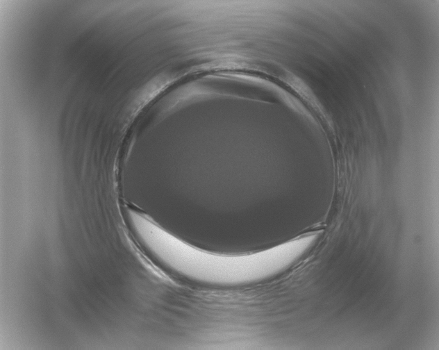 X0000054350389200508190134.png