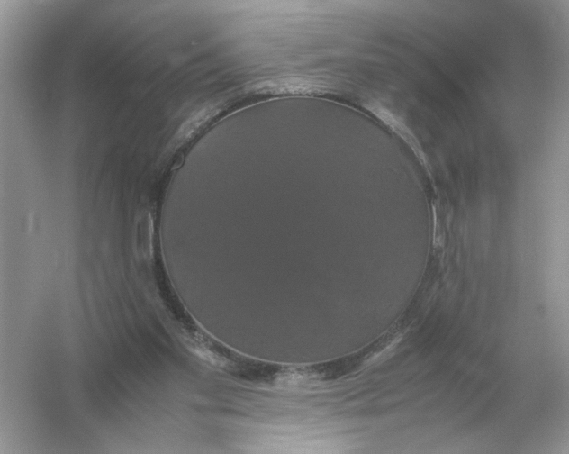 X0000054350109200508190138.png