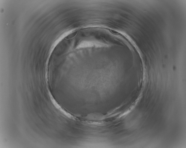 X0000054170957200508101756.png