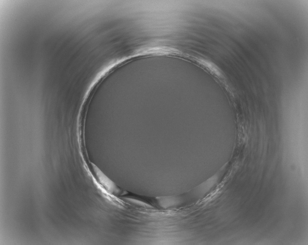 X0000054351430200508190116.png