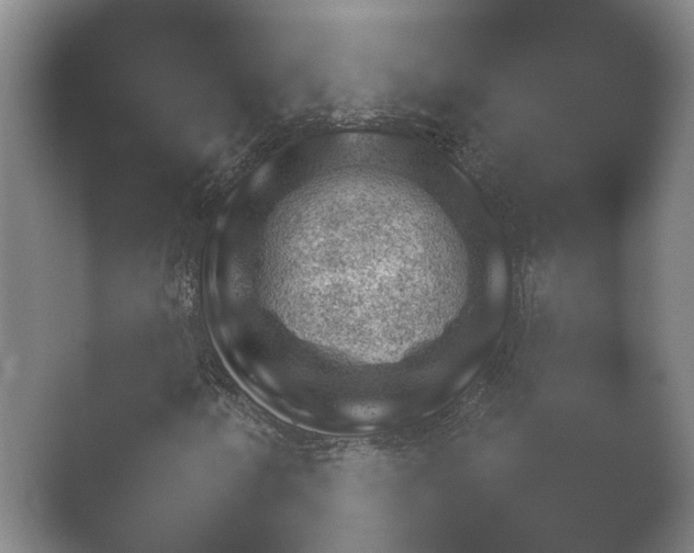 X0000052281250200507132019.png