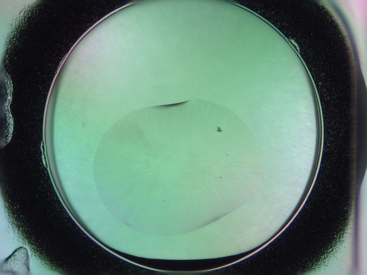 01gh_B11_ImagerDefaults_0.jpg