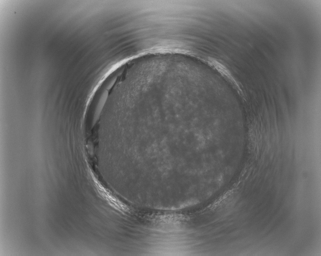 X0000054350934200508190124.png