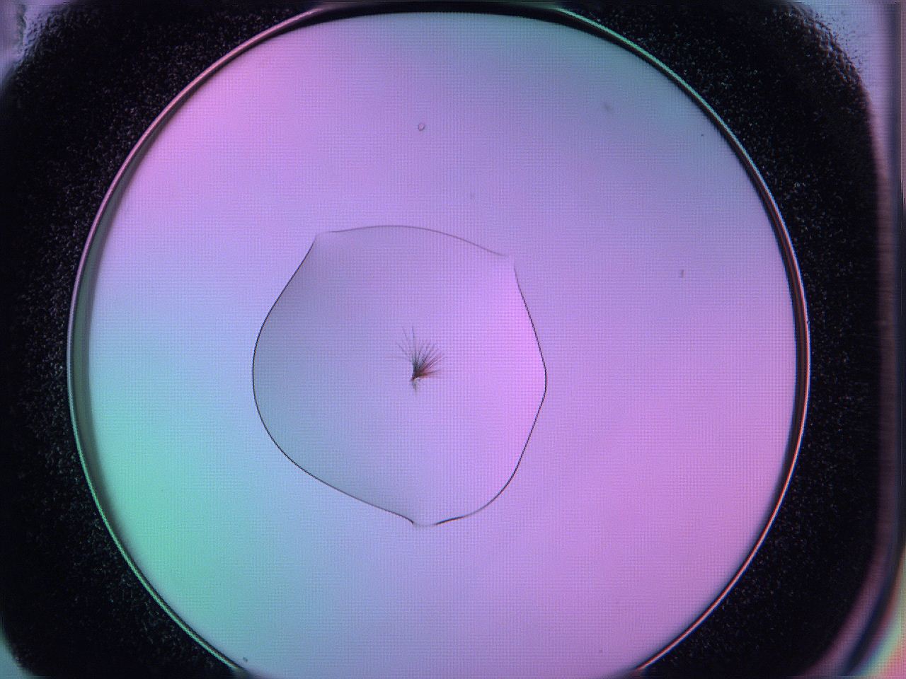 05e6_E11_ImagerDefaults_4.jpg