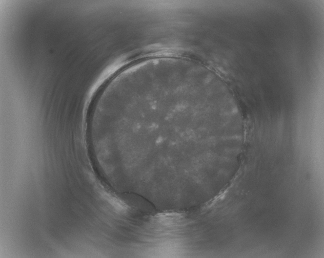 X0000054350150200508190137.png