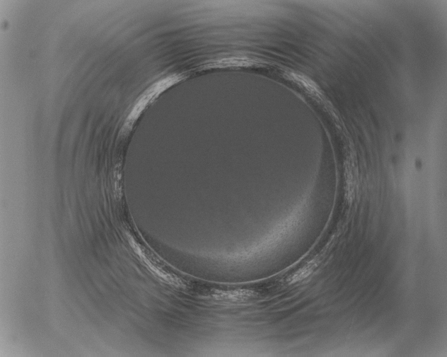 X0000054171225200508101751.png
