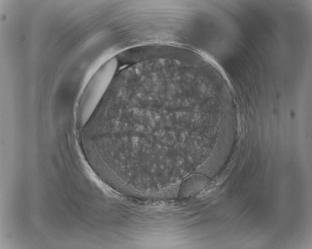 X0000054171099200508101753.png