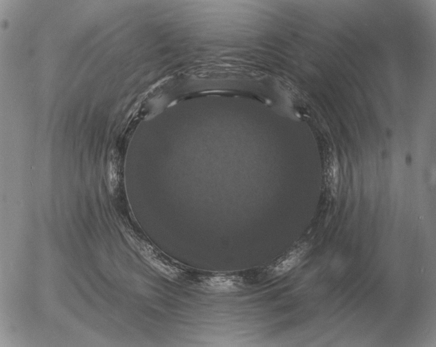 X0000054170566200508101802.png
