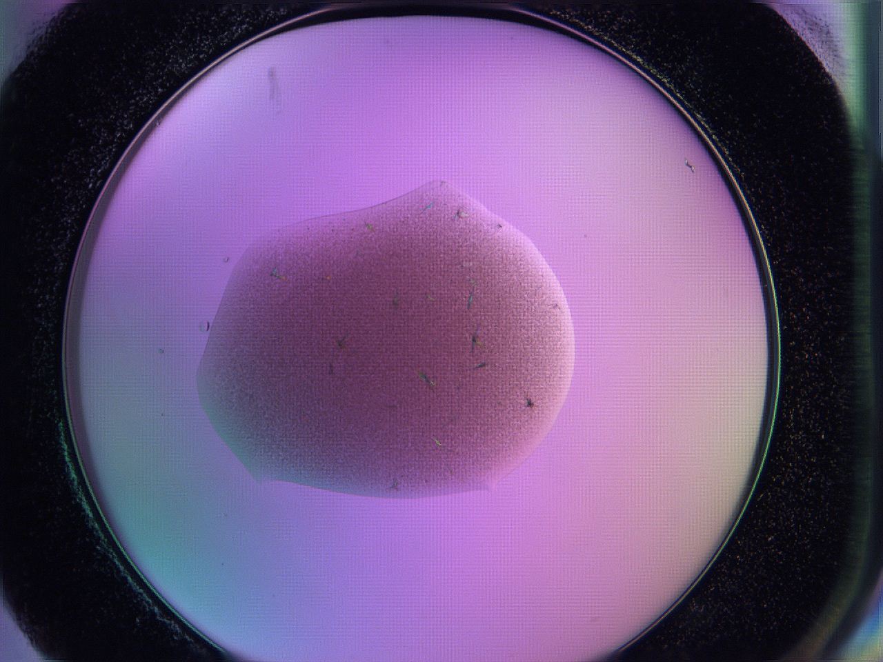 05e6_H4_ImagerDefaults_6.jpg