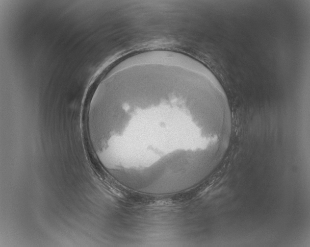 X0000055250196200509071624.png