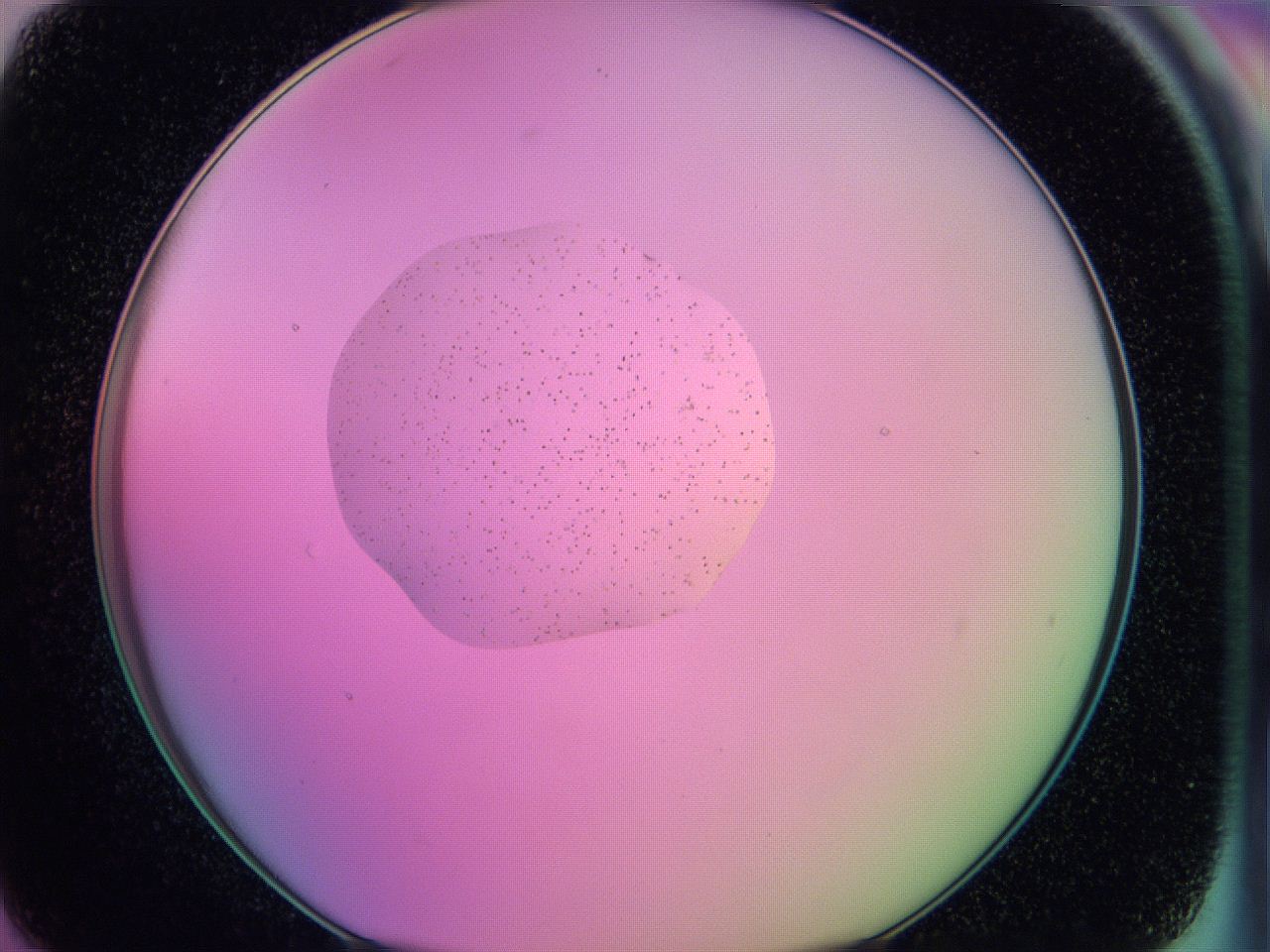 05e7_G7_ImagerDefaults_6.jpg