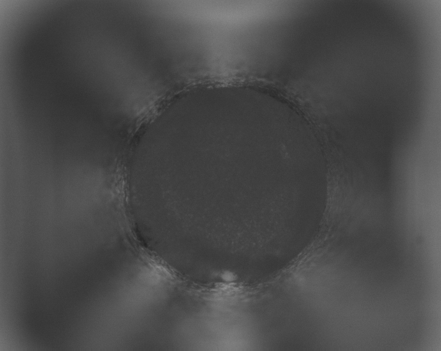 X0000051540720200506281739.png