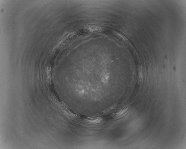 X0000054170667200508101801.png