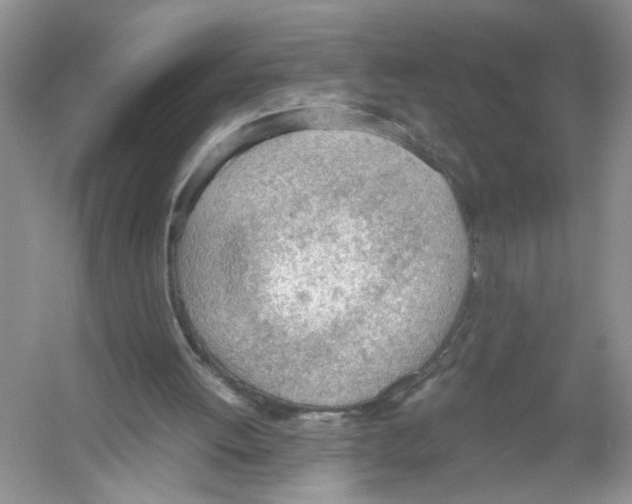 X0000054270052200508261927.png
