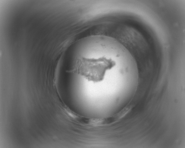 X0000054330143200508111929.png