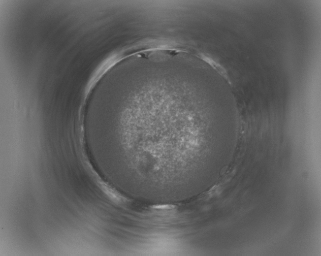 X0000054300053200508042321.png