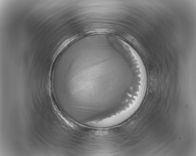 X0000054350890200508190125.png