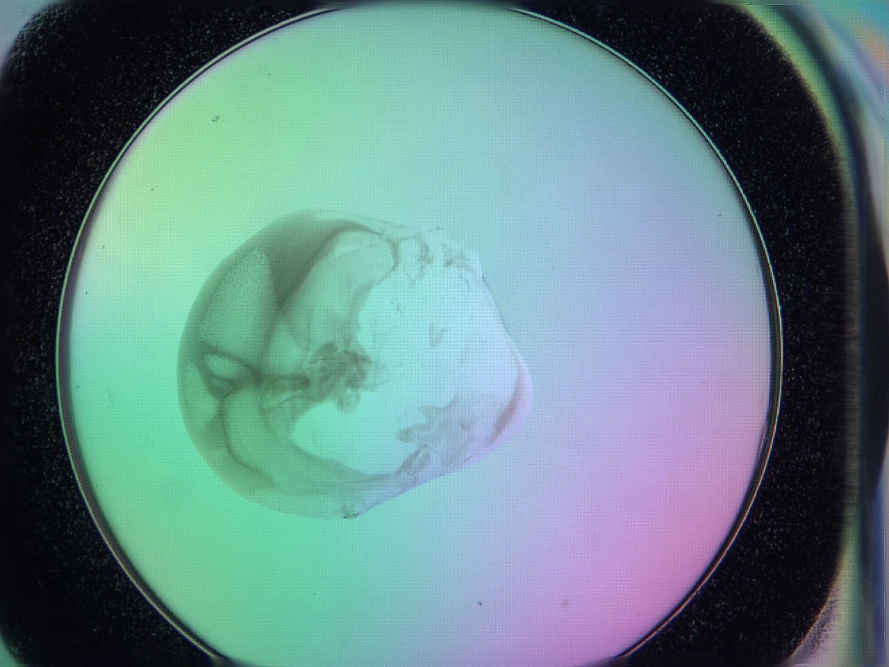 05e9_H9_ImagerDefaults_4.jpg