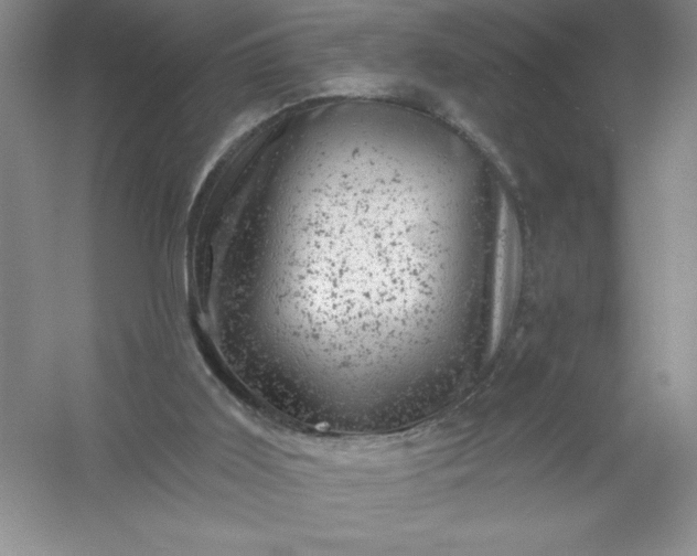 X0000054300011200508042322.png