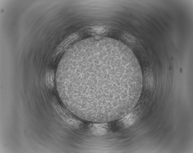 X0000054580188200508300110.png