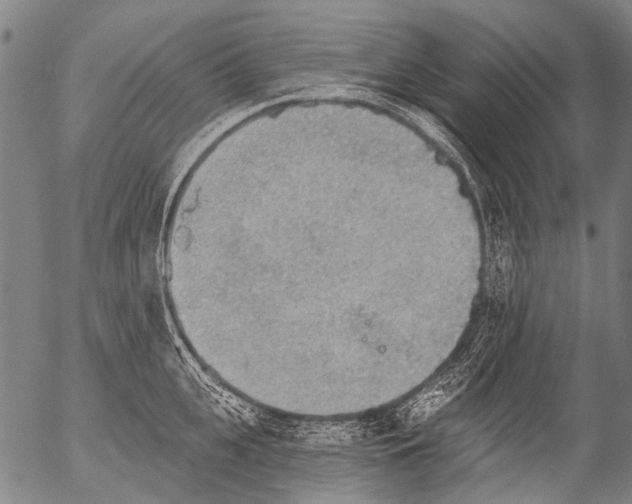 X0000054580951200508300057.png