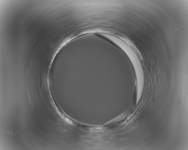X0000054350813200508190126.png