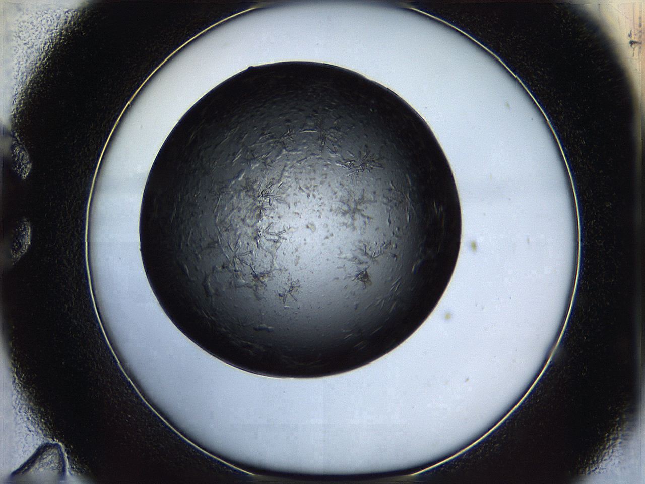 05eo_C11_ImagerDefaults_6.jpg