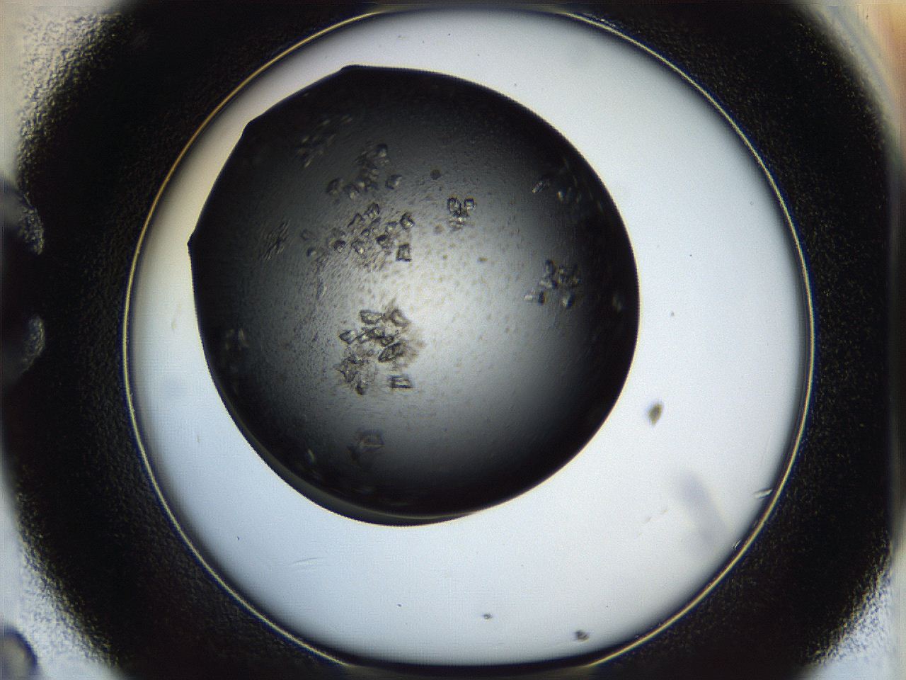 05eo_C8_ImagerDefaults_8.jpg