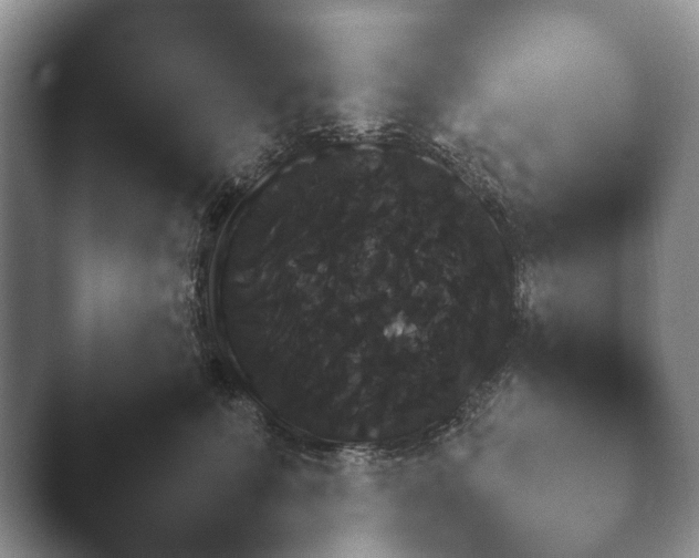 X0000045390615200501241404.png