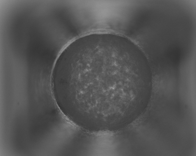 X0000051541466200506281726.png