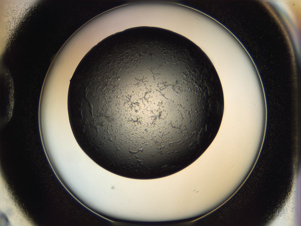 05eo_D2_ImagerDefaults_6.jpg