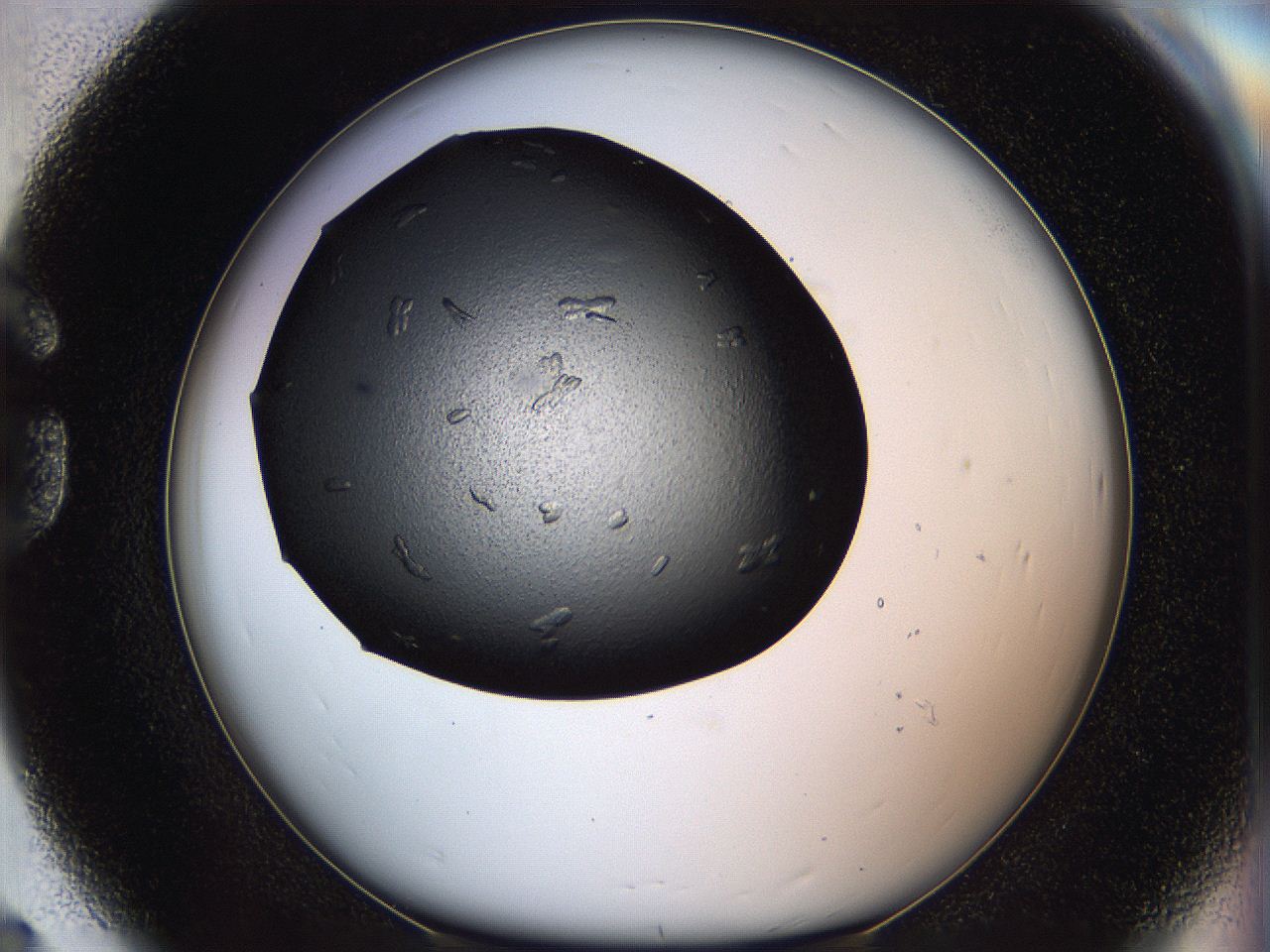 05eo_G8_ImagerDefaults_8.jpg