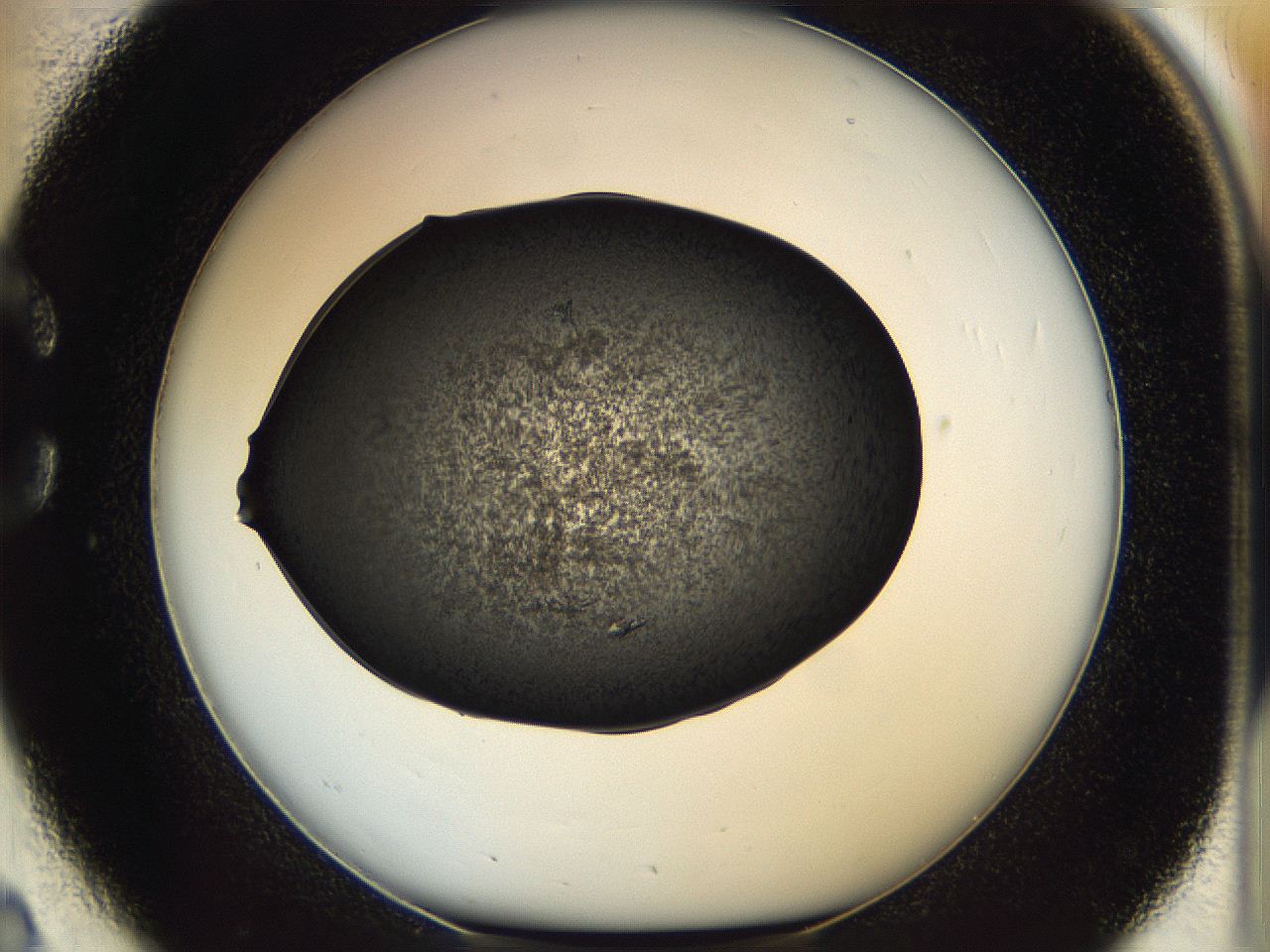 05eo_C2_ImagerDefaults_8.jpg