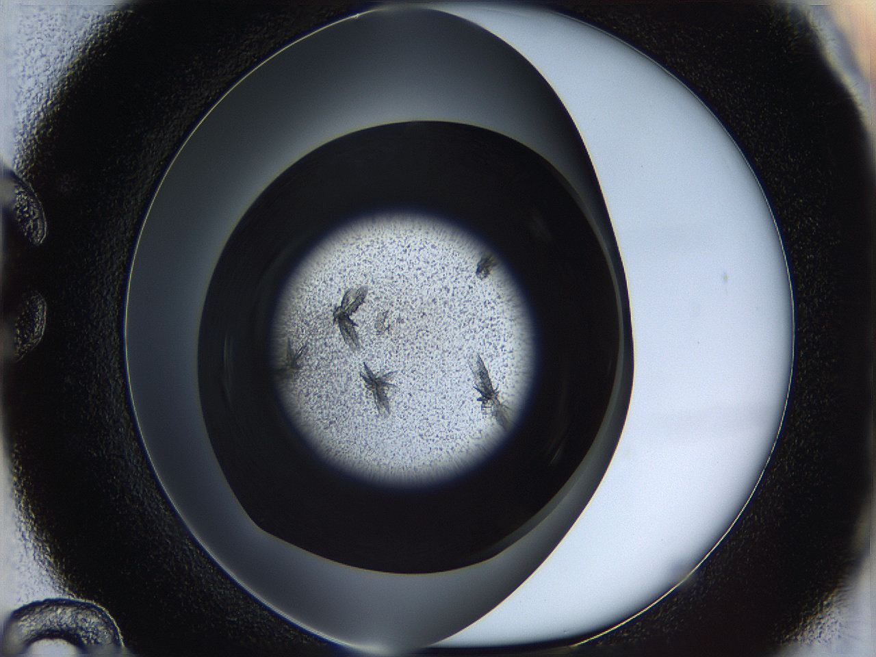 05eo_C12_ImagerDefaults_7.jpg
