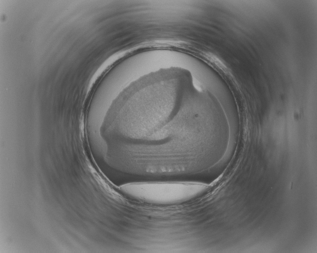 X0000054171420200508101748.png