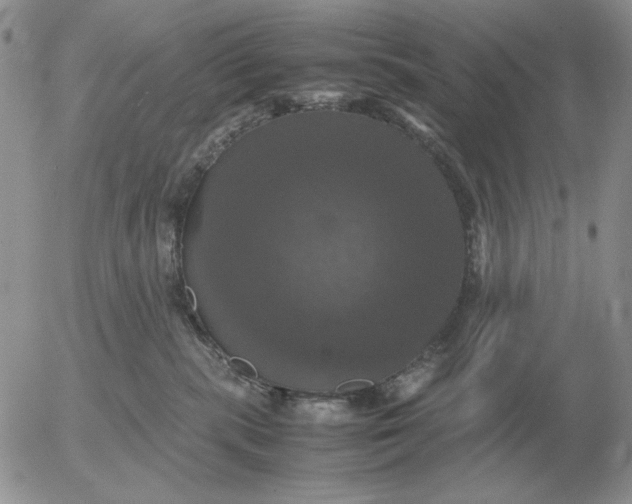 X0000054170283200508101807.png