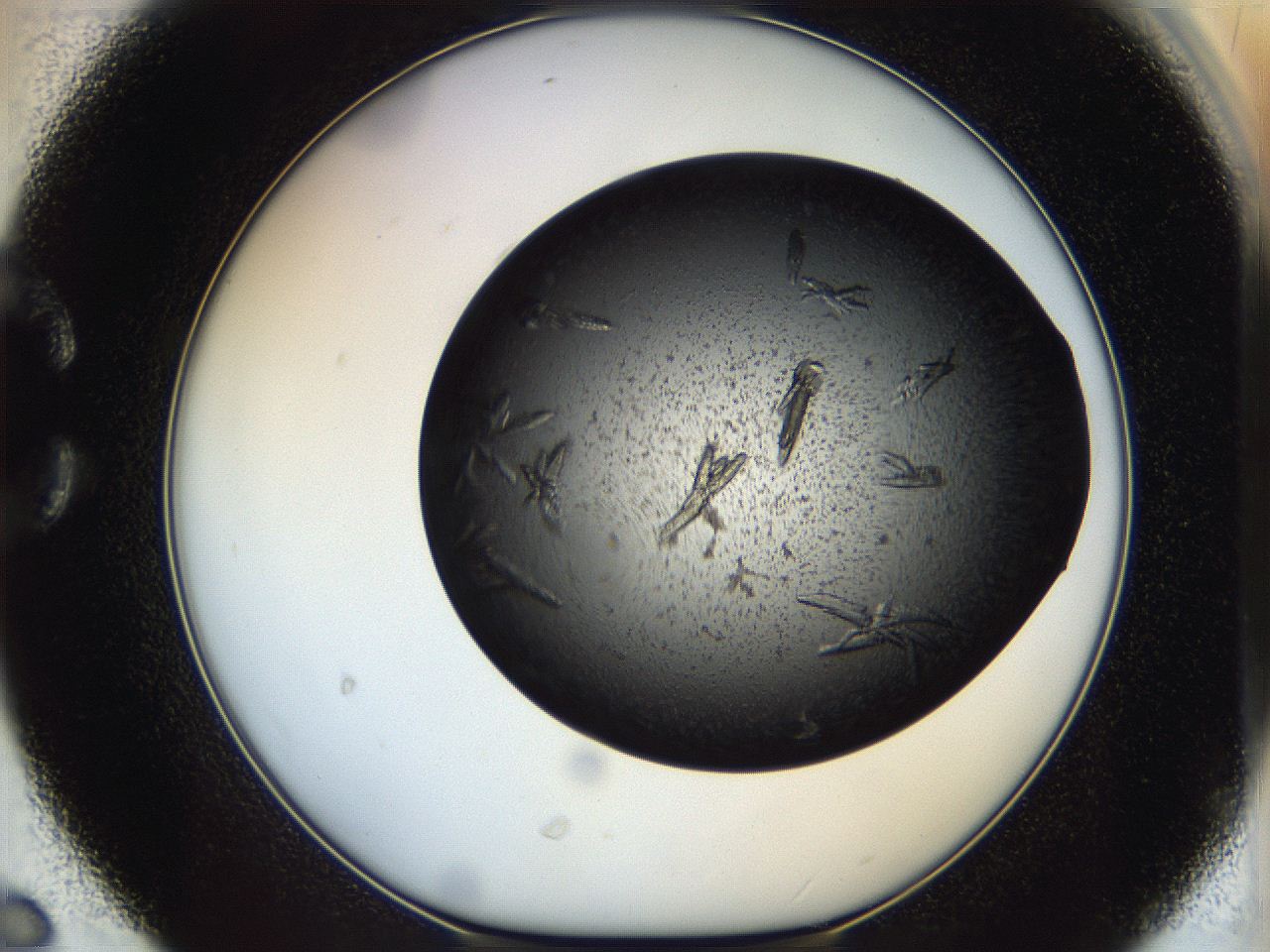 05eo_C6_ImagerDefaults_8.jpg