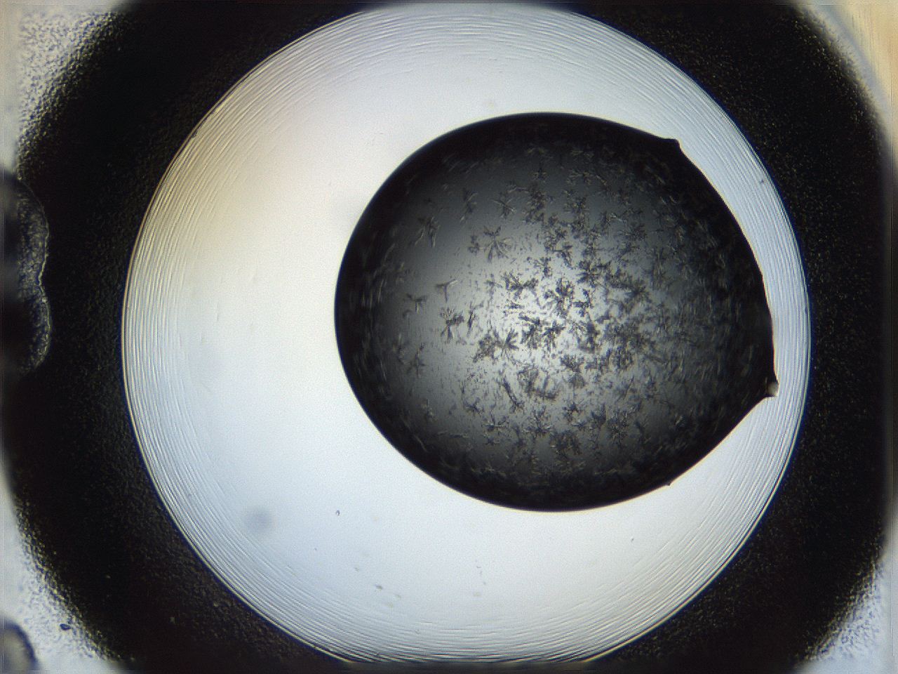 05eo_B8_ImagerDefaults_6.jpg