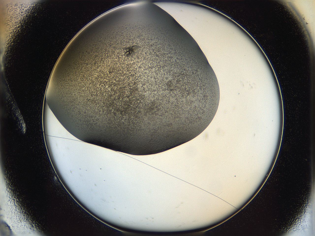 05eo_A9_ImagerDefaults_8.jpg