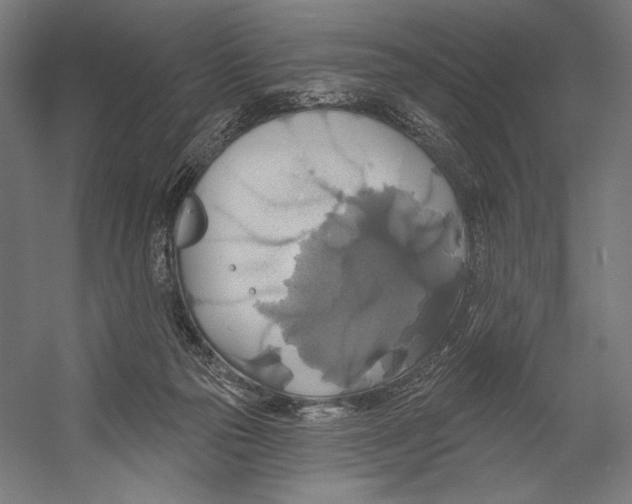 X0000055250169200509071625.png