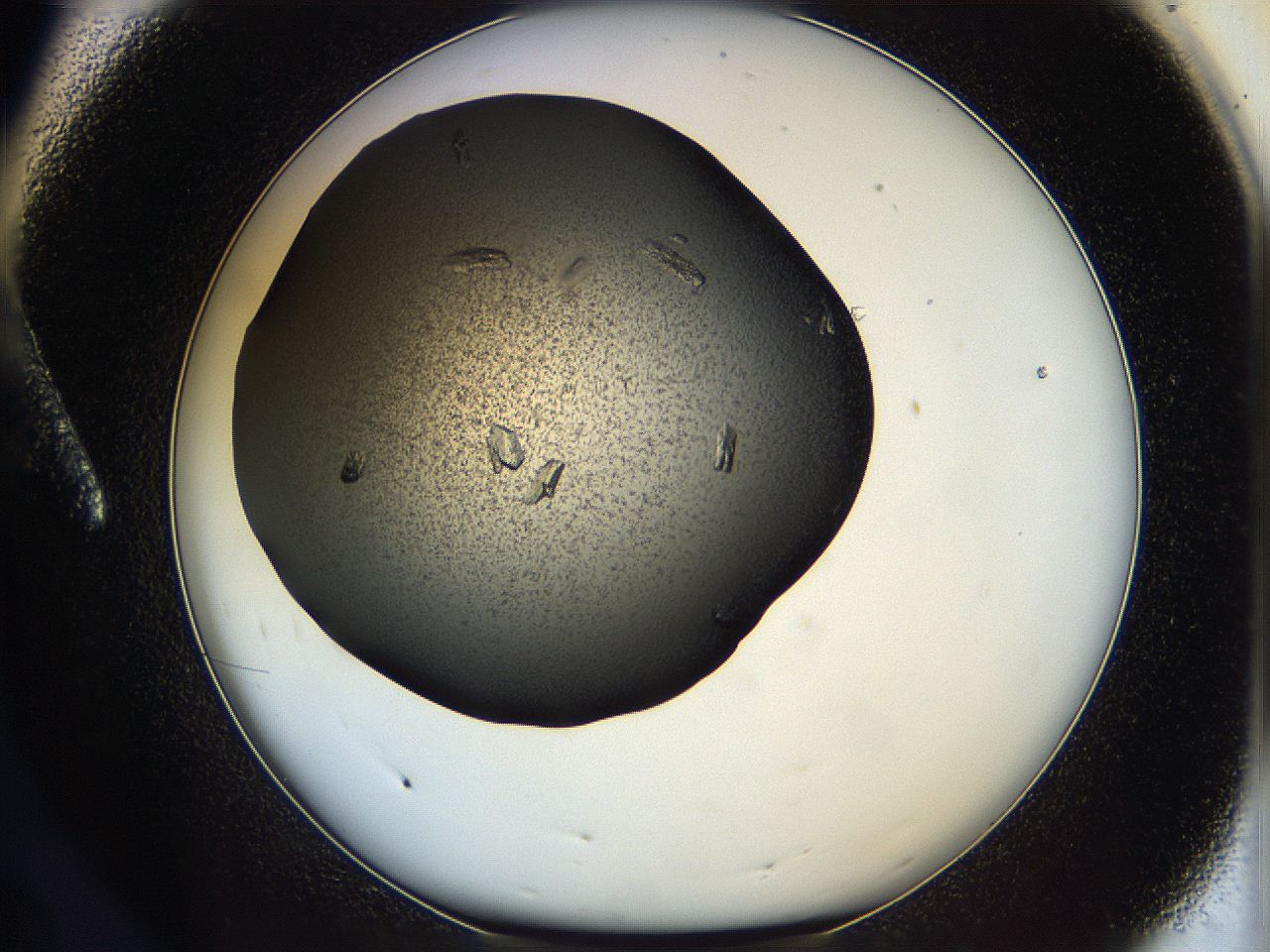 05eo_A8_ImagerDefaults_9.jpg