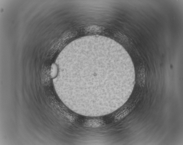 X0000054580708200508300101.png