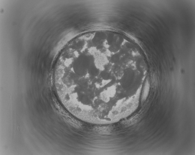 X0000054581415200508300049.png