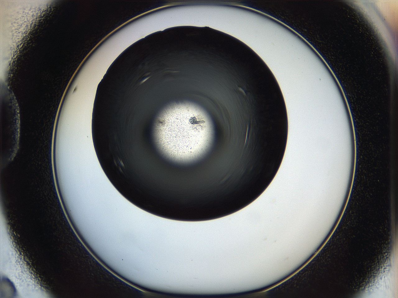 05eo_D8_ImagerDefaults_8.jpg