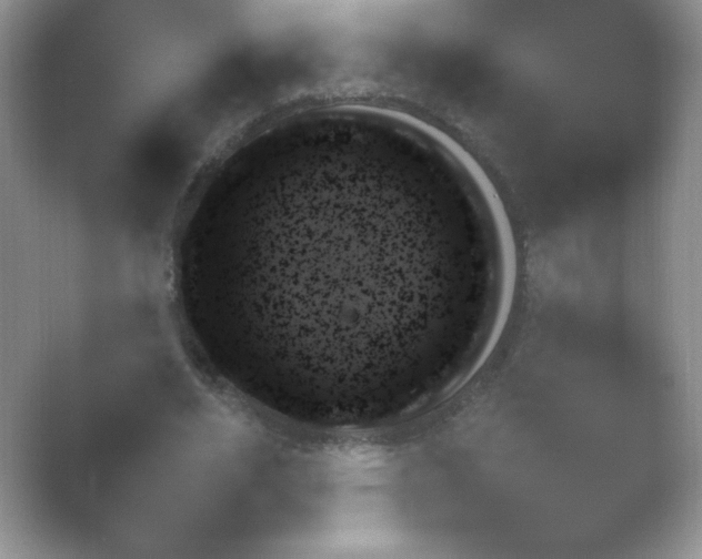 X0000054730582200508171854.png