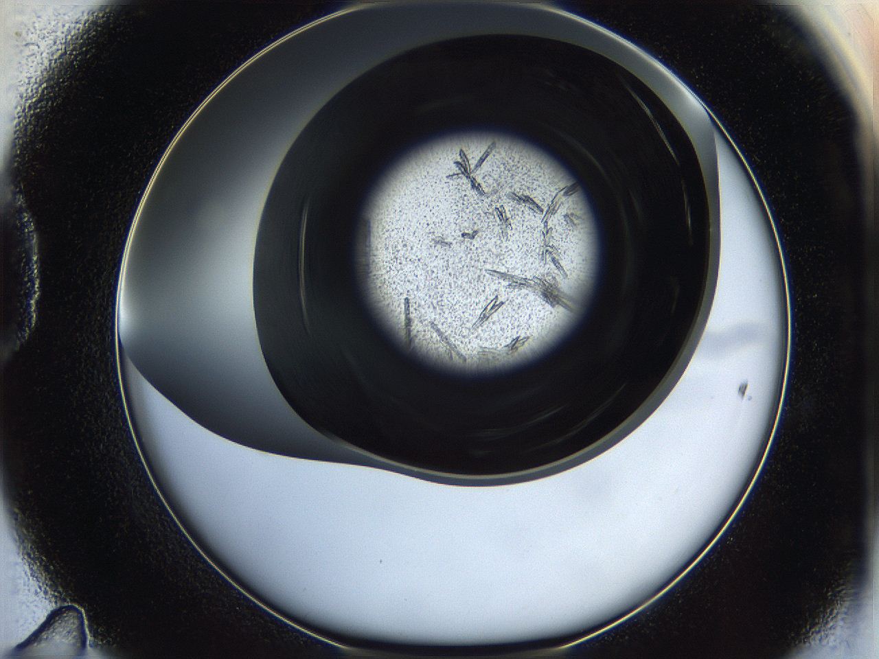 05eo_D11_ImagerDefaults_8.jpg