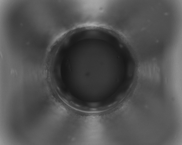 X0000054731406200508171840.png